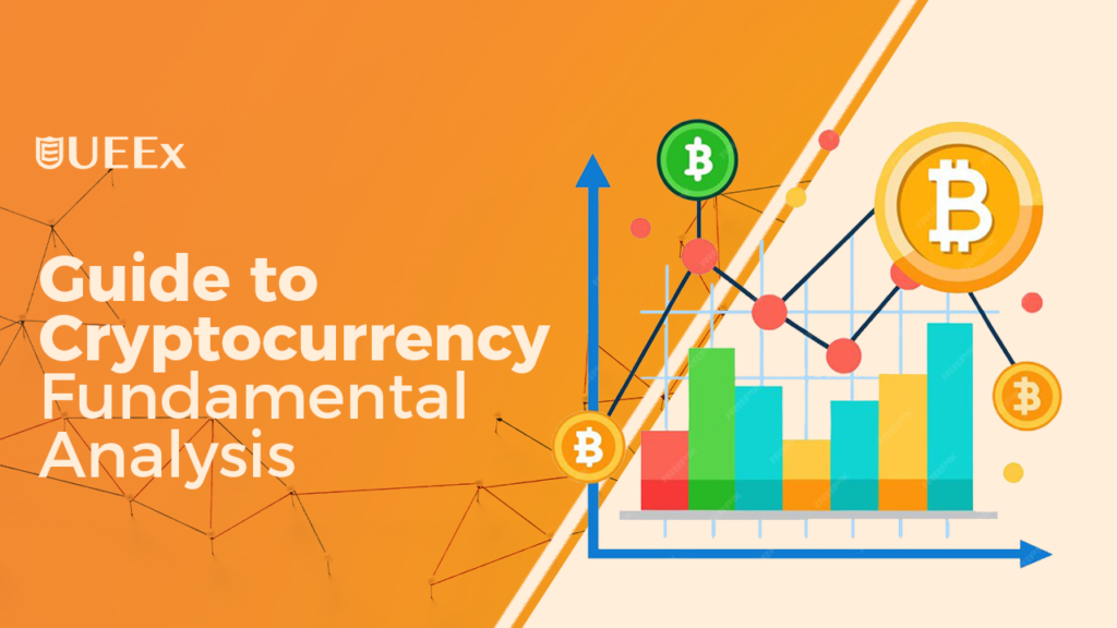 Cryptocurrency Fundamental Analysis