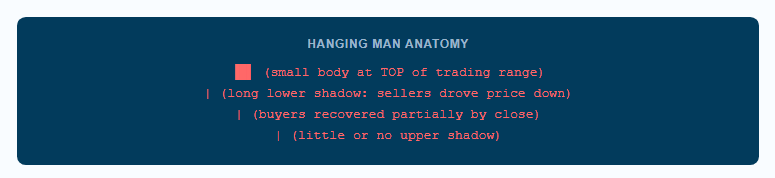 Hanging man anatomy
