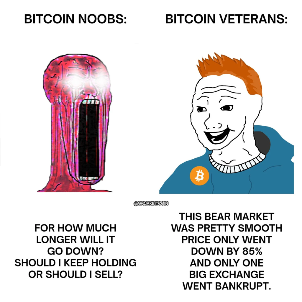 Top 27 Must See Bitcoin Memes That Went Viral - UEEx Technology
