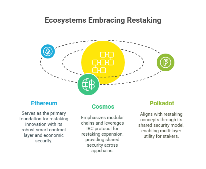 Ecosystems embracing restaking
