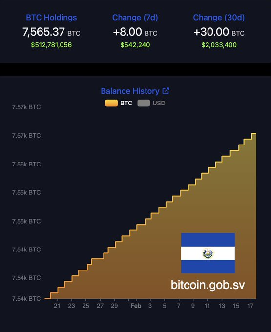 Data showing El Salvador BTC holding