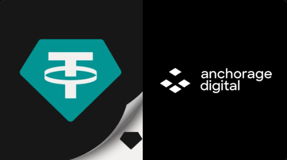 Tether and anchorage digital logo