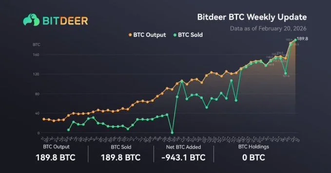 Chart showing Bitdeer transaction history