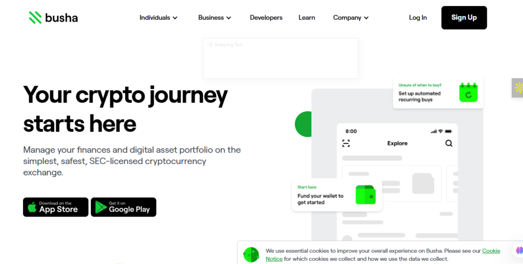 busha homepage interface