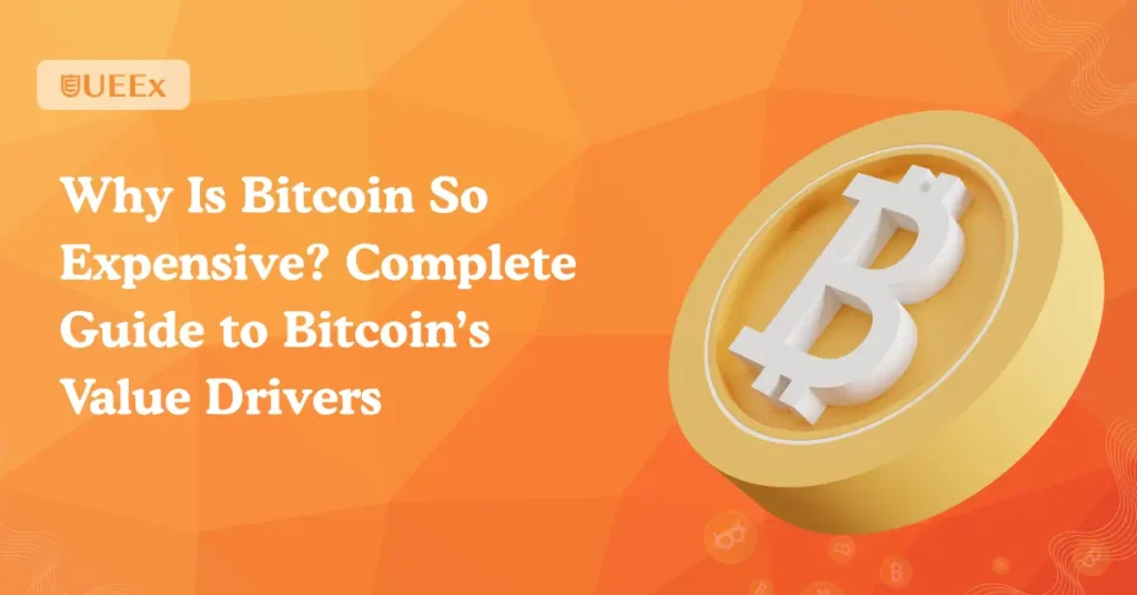 Why Is Bitcoin So Expensive
