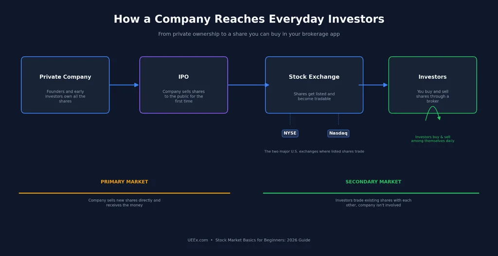 Stock market basics; Diagram showing how a company reaches investors, in a flow from private company to IPO to stock exchange to investors, connected by arrows. The Stock Exchange box links to NYSE and Nasdaq labels below. Two colored bands underneath label the Primary Market and Secondary Market stages.