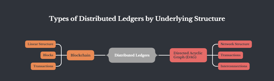 An infographic showing the Main Types of Distributed Ledgers