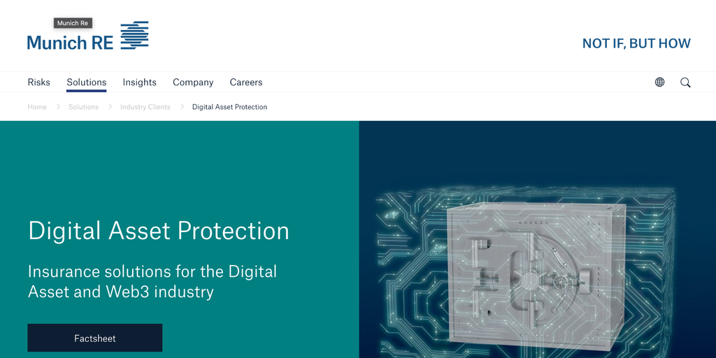 Munich Re webpage displays web content, like an illustrated safe surrounded by terminal lines, action buttons, and the tagline “Digital Asset Protection."