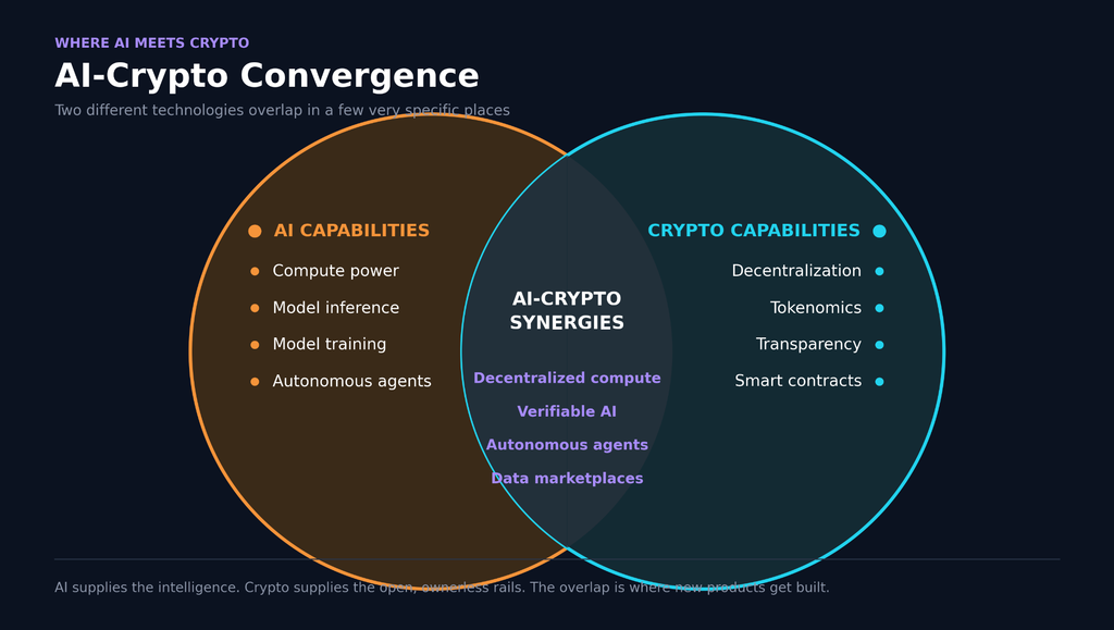 Venn diagram titled AI-Crypto Convergence. Left orange circle lists AI capabilities: compute power, model inference, training, and autonomous agents. Right cyan circle lists crypto capabilities: decentralization, tokenomics, transparency, and smart contracts. Purple overlap lists synergies: decentralized compute, verifiable AI, autonomous agents, and data marketplaces.