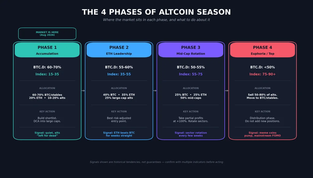 Flowchart showing four altcoin season phases in sequence: Accumulation, ETH Leadership, Mid-Cap Rotation, and Euphoria/Top. Each panel lists Bitcoin dominance range, Altcoin Season Index range, recommended portfolio allocation, key action, and entry signal, with a marker showing the market is currently in Phase 1